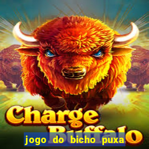 jogo do bicho puxa de dona maria